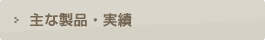 主な製品・実績